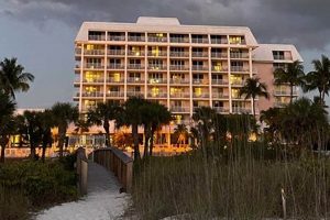 Marco Surf Club: Lessons, Rentals & More! | Learn to Surf & Skate: A Beginner's Step-by-Step Guide