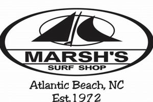 Local Marsh Surf Shop: Gear, Apparel & More! | Learn to Surf & Skate: A Beginner's Step-by-Step Guide