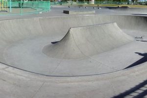 Explore Reed Skate Park: Your Local Skate Spot Guide | Learn to Surf & Skate: A Beginner's Step-by-Step Guide