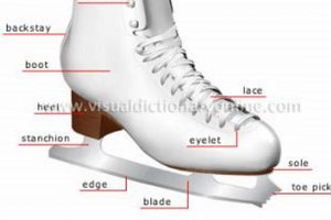 Essential Ice Skate Parts Guide | Performance & Safety Learn to Surf & Skate: A Beginner's Step-by-Step Guide Essential Ice Skate Parts Guide | Performance & Safety | Learn to Surf & Skate: A Beginner's Step-by-Step Guide
