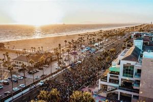 Run Surf City 10: The Ultimate Coastal Race Experience! Learn to Surf & Skate: A Beginner's Step-by-Step Guide Run Surf City 10: The Ultimate Coastal Race Experience! | Learn to Surf & Skate: A Beginner's Step-by-Step Guide