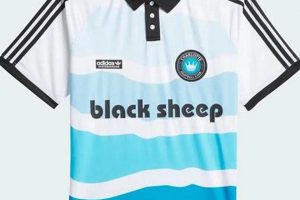 Charlotte's Black Sheep Skate Shop: Gear Up & Ride! | Learn to Surf & Skate: A Beginner's Step-by-Step Guide