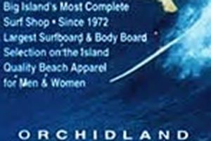 Your Daily Orchidland Surf Report: [Waves & Tides] | Learn to Surf & Skate: A Beginner's Step-by-Step Guide
