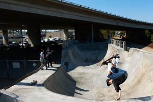 Skate Park Fixtures: The NYT Perspective on Skateboarding Learn to Surf & Skate: A Beginner's Step-by-Step Guide Skate Park Fixtures: The NYT Perspective on Skateboarding | Learn to Surf & Skate: A Beginner's Step-by-Step Guide