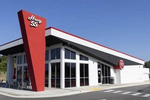 Your Guide to Hwy 55 Surf City: Beaches & More! | Learn to Surf & Skate: A Beginner's Step-by-Step Guide