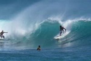 Your Kewalos Surf Report: [Date/Conditions] + Tips | Learn to Surf & Skate: A Beginner's Step-by-Step Guide
