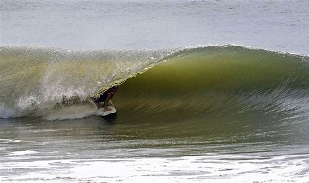 Your Folly Beach SC Surf Report: [Updated] | Learn to Surf & Skate: A Beginner's Step-by-Step Guide