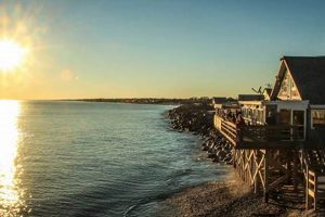 Live Ocean Mist Surf Cam: View Now + Surf Report | Learn to Surf & Skate: A Beginner's Step-by-Step Guide