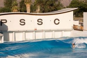 Your PS Surf Club: Ride the Waves with Our Surf Club! Learn to Surf & Skate: A Beginner's Step-by-Step Guide Your PS Surf Club: Ride the Waves with Our Surf Club! | Learn to Surf & Skate: A Beginner's Step-by-Step Guide