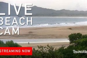 Live: Surf Cam Tamarindo Costa Rica Waves - See Now! Learn to Surf & Skate: A Beginner's Step-by-Step Guide Live: Surf Cam Tamarindo Costa Rica Waves - See Now! | Learn to Surf & Skate: A Beginner's Step-by-Step Guide