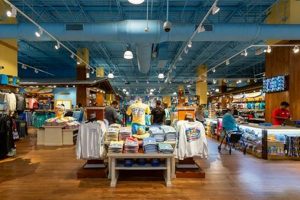 Visit Ron Jon Surf Shop: Panama City Beach Surf Gear! | Learn to Surf & Skate: A Beginner's Step-by-Step Guide