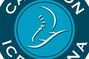 Carlson Ice Arena Open Skate: Schedule & Fun! | Learn to Surf & Skate: A Beginner's Step-by-Step Guide