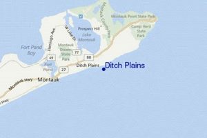 Ditch Plains Surf Report: Today's Waves + Forecast | Learn to Surf & Skate: A Beginner's Step-by-Step Guide