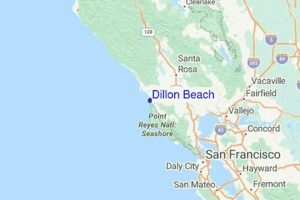 Your Dillon Beach Surf Report HQ: Conditions & Forecasts Learn to Surf & Skate: A Beginner's Step-by-Step Guide Your Dillon Beach Surf Report HQ: Conditions & Forecasts | Learn to Surf & Skate: A Beginner's Step-by-Step Guide