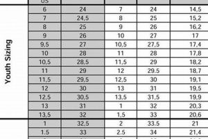 Skate Size Guide: Are Skate Sizes the Same as Shoe Sizes? Learn to Surf & Skate: A Beginner's Step-by-Step Guide Skate Size Guide: Are Skate Sizes the Same as Shoe Sizes? | Learn to Surf & Skate: A Beginner's Step-by-Step Guide