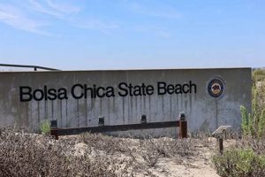 Bolsa Chica Surf: Beach Report & Surf's Up! Learn to Surf & Skate: A Beginner's Step-by-Step Guide Bolsa Chica Surf: Beach Report & Surf's Up! | Learn to Surf & Skate: A Beginner's Step-by-Step Guide