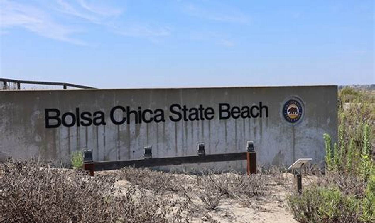 Bolsa Chica Surf: Beach Report & Surf's Up! Learn to Surf & Skate: A Beginner's Step-by-Step Guide Bolsa Chica Surf: Beach Report & Surf's Up! | Learn to Surf & Skate: A Beginner's Step-by-Step Guide