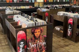 The Ultimate Vinylyte Records & Skate Shop Guide | Learn to Surf & Skate: A Beginner's Step-by-Step Guide