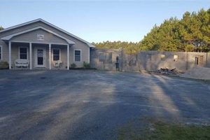 Surf City Pawville: Your Dog's Coastal Paradise | Learn to Surf & Skate: A Beginner's Step-by-Step Guide