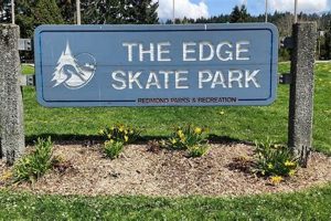 Discover The Edge Skate Park: Your Thrilling Skate Destination Learn to Surf & Skate: A Beginner's Step-by-Step Guide Discover The Edge Skate Park: Your Thrilling Skate Destination | Learn to Surf & Skate: A Beginner's Step-by-Step Guide