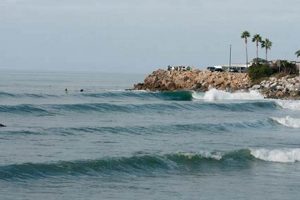 Your Topanga Beach Surf Report: [Conditions Today] | Learn to Surf & Skate: A Beginner's Step-by-Step Guide