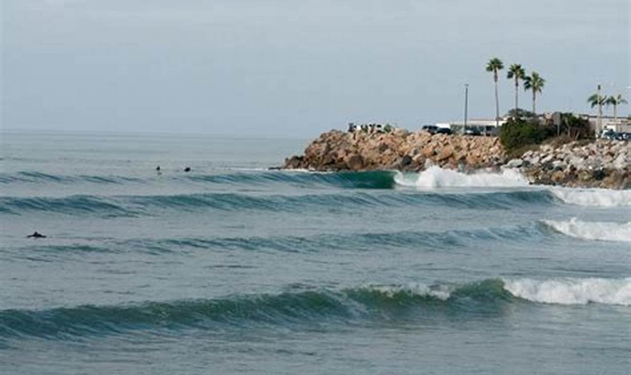 Your Topanga Beach Surf Report: [Conditions Today] | Learn to Surf & Skate: A Beginner's Step-by-Step Guide