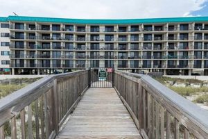 Discover Emerald Surf: Navarre Beach Bliss! | Learn to Surf & Skate: A Beginner's Step-by-Step Guide