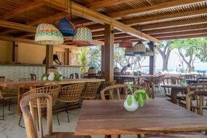 Your Guide to El Surf Club Punta Mita: Lessons & More! Learn to Surf & Skate: A Beginner's Step-by-Step Guide Your Guide to El Surf Club Punta Mita: Lessons & More! | Learn to Surf & Skate: A Beginner's Step-by-Step Guide