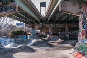Best Philadelphia Skate Parks: Your Local Guide + More! | Learn to Surf & Skate: A Beginner's Step-by-Step Guide