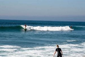 Your Carlsbad Surf Report: Waves &amp; Weather Now! | Learn to Surf & Skate: A Beginner's Step-by-Step Guide