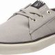 Volcom Skate Shoes: Style & Performance You Need | Learn to Surf & Skate: A Beginner's Step-by-Step Guide