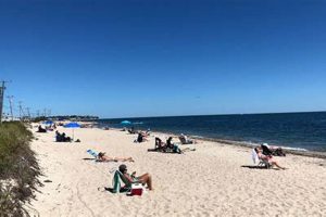 Your Ultimate Surf Drive Beach Access Guide | Learn to Surf & Skate: A Beginner's Step-by-Step Guide