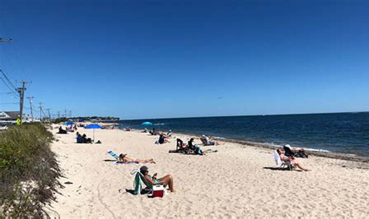 Your Ultimate Surf Drive Beach Access Guide | Learn to Surf & Skate: A Beginner's Step-by-Step Guide