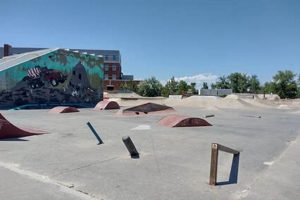Your Fort Collins Skate Shop: Gear & More! | Learn to Surf & Skate: A Beginner's Step-by-Step Guide