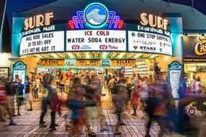 Your Guide: Ocean City Surf Mall & More! | Learn to Surf & Skate: A Beginner's Step-by-Step Guide