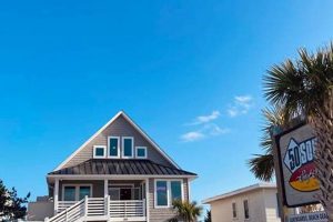 Your Guide to 50 South Surf Shop | Gear & More | Learn to Surf & Skate: A Beginner's Step-by-Step Guide