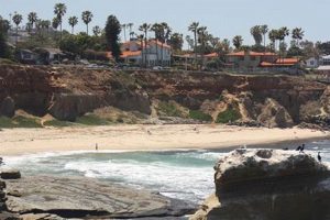 Discover No Surf Beach Guide: Calm Waters Await! Learn to Surf & Skate: A Beginner's Step-by-Step Guide Discover No Surf Beach Guide: Calm Waters Await! | Learn to Surf & Skate: A Beginner's Step-by-Step Guide