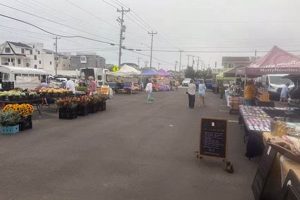 Visit Surf City Farmers Market: Fresh & Local Learn to Surf & Skate: A Beginner's Step-by-Step Guide Visit Surf City Farmers Market: Fresh & Local | Learn to Surf & Skate: A Beginner's Step-by-Step Guide