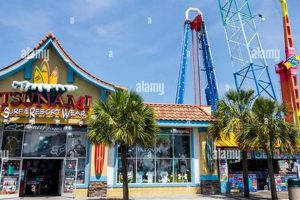 Your Guide: Best Surf Shops Myrtle Beach, SC + Deals! | Learn to Surf & Skate: A Beginner's Step-by-Step Guide