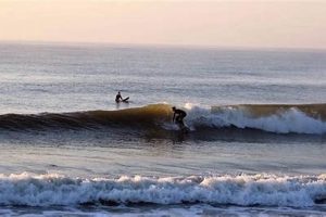 Folly Beach Surf Report SC: Local Waves & Conditions Now | Learn to Surf & Skate: A Beginner's Step-by-Step Guide