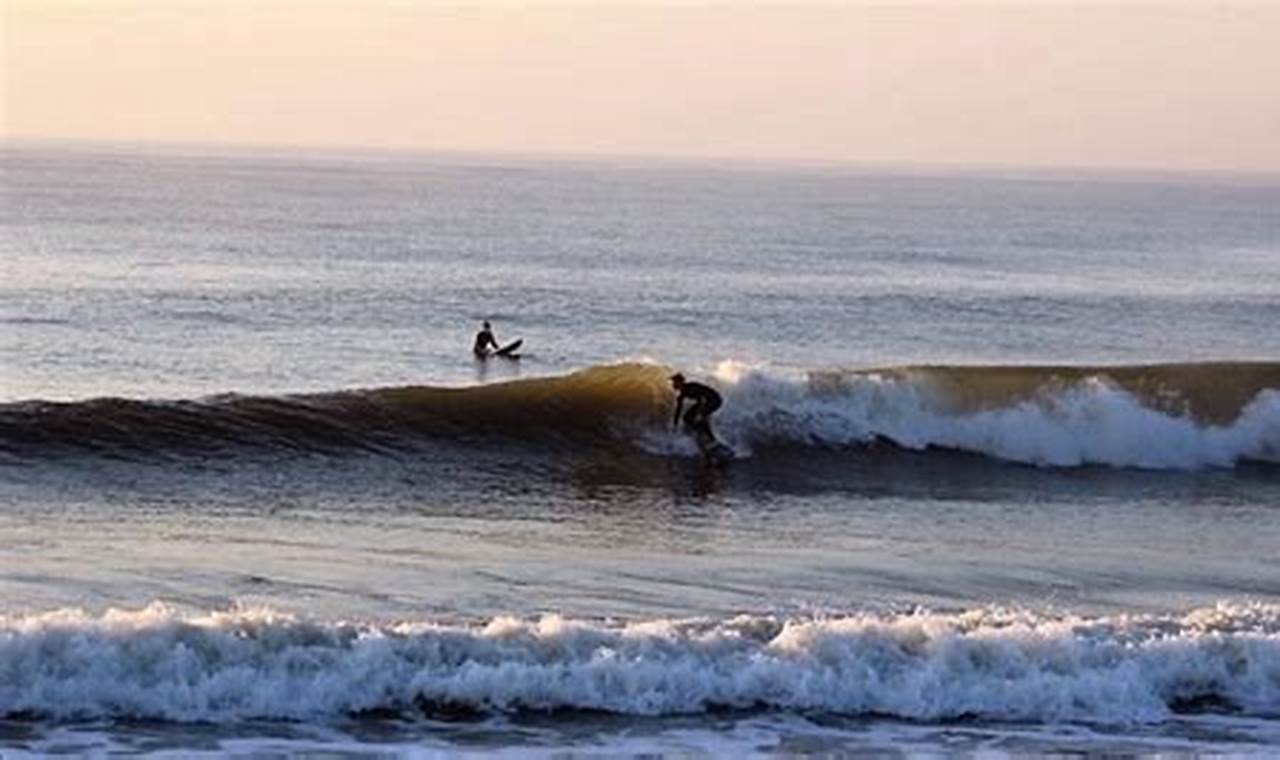 Folly Beach Surf Report SC: Local Waves & Conditions Now | Learn to Surf & Skate: A Beginner's Step-by-Step Guide