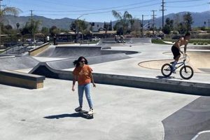 Your Guide to Skate Parks in Hemet, CA: Find the Best Spots Learn to Surf & Skate: A Beginner's Step-by-Step Guide Your Guide to Skate Parks in Hemet, CA: Find the Best Spots | Learn to Surf & Skate: A Beginner's Step-by-Step Guide