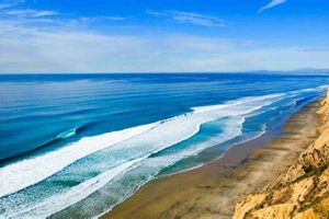 Surf Blacks Beach San Diego: Waves & More! | Learn to Surf & Skate: A Beginner's Step-by-Step Guide