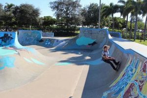 Sarasota Skate Park Guide: Find the Best FL Spots Learn to Surf & Skate: A Beginner's Step-by-Step Guide Sarasota Skate Park Guide: Find the Best FL Spots | Learn to Surf & Skate: A Beginner's Step-by-Step Guide