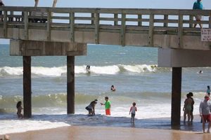 Your Surf Report St Augustine Florida Guide + Tips | Learn to Surf & Skate: A Beginner's Step-by-Step Guide