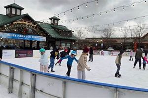 Find Open Ice Skate Near Me Today! [Schedule & Prices] | Learn to Surf & Skate: A Beginner's Step-by-Step Guide