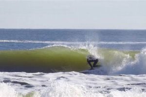 Your Folly Beach Surf Guide: Breaks, Tides & More! | Learn to Surf & Skate: A Beginner's Step-by-Step Guide