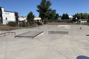 Everett WA Skate Parks Guide: Best Local Spots & More! | Learn to Surf & Skate: A Beginner's Step-by-Step Guide