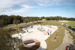 Visit Zephyrhills Skate Park: Thrills & Jams! | Learn to Surf & Skate: A Beginner's Step-by-Step Guide