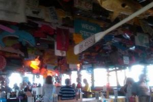 Surf City's Best Crab Pot Restaurant: Seafood Feast NC! Learn to Surf & Skate: A Beginner's Step-by-Step Guide Surf City's Best Crab Pot Restaurant: Seafood Feast NC! | Learn to Surf & Skate: A Beginner's Step-by-Step Guide